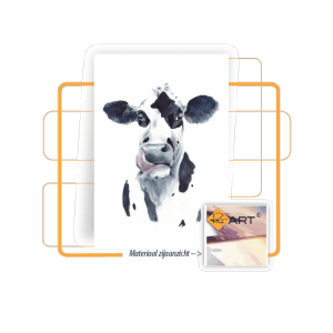 Plexiglas | Koe