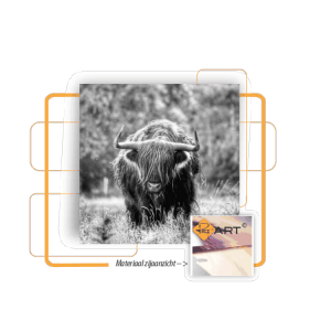 Plexiglas | Schotse Hooglander